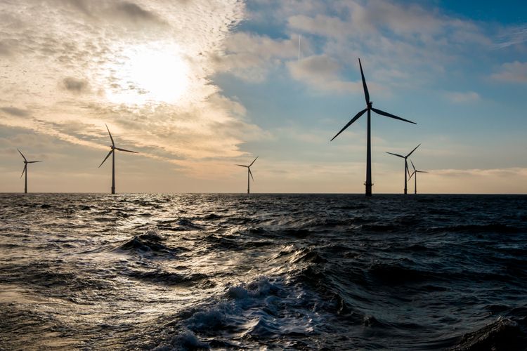 1vestas_saylor_4773_lb