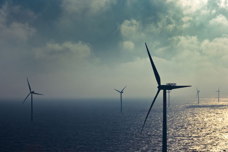 1owibtour_saylor_0482_lb