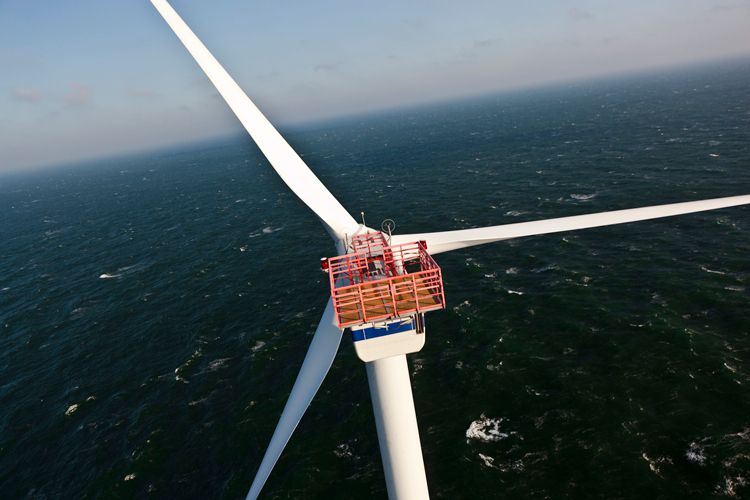 1northsea_saylor_0395_lb