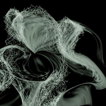 1visualize2017_saylor_35_lb