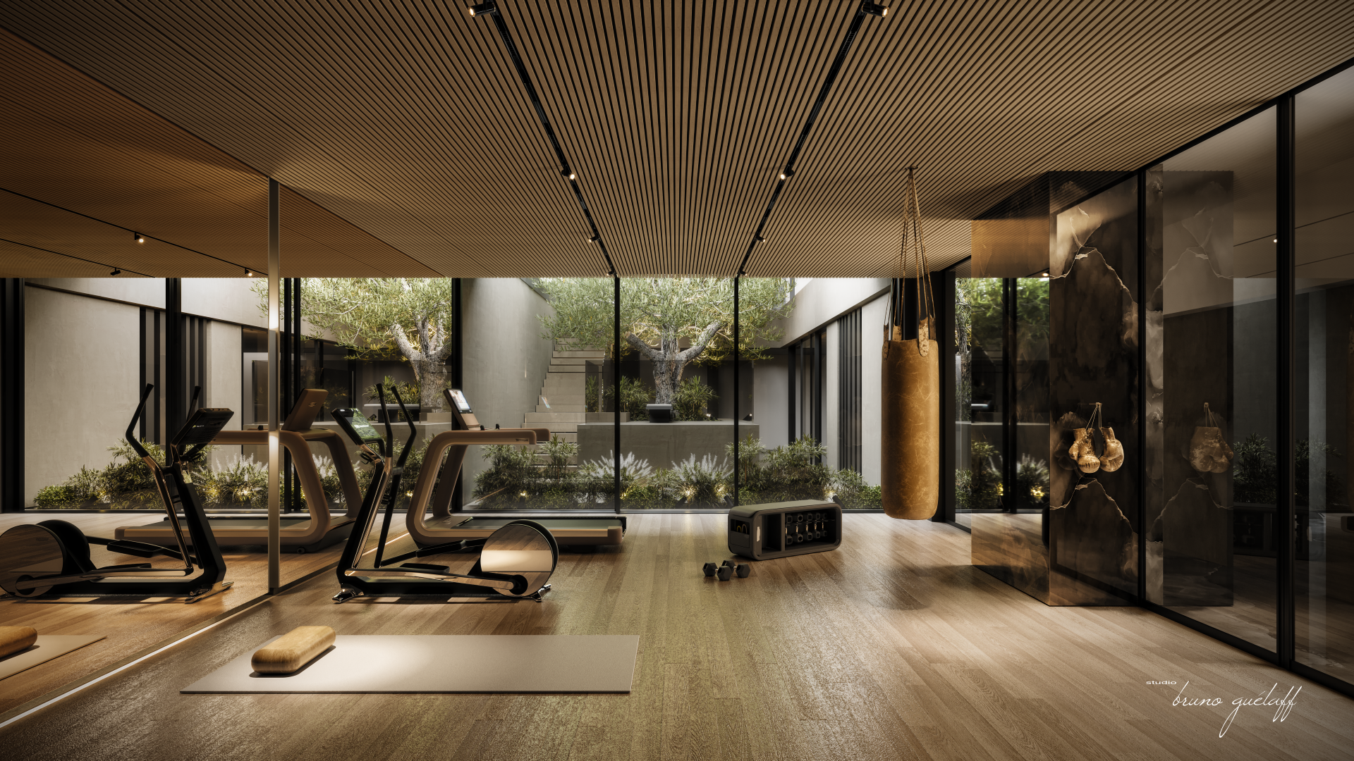 BG Lux Villa, Dubai. Gym Design