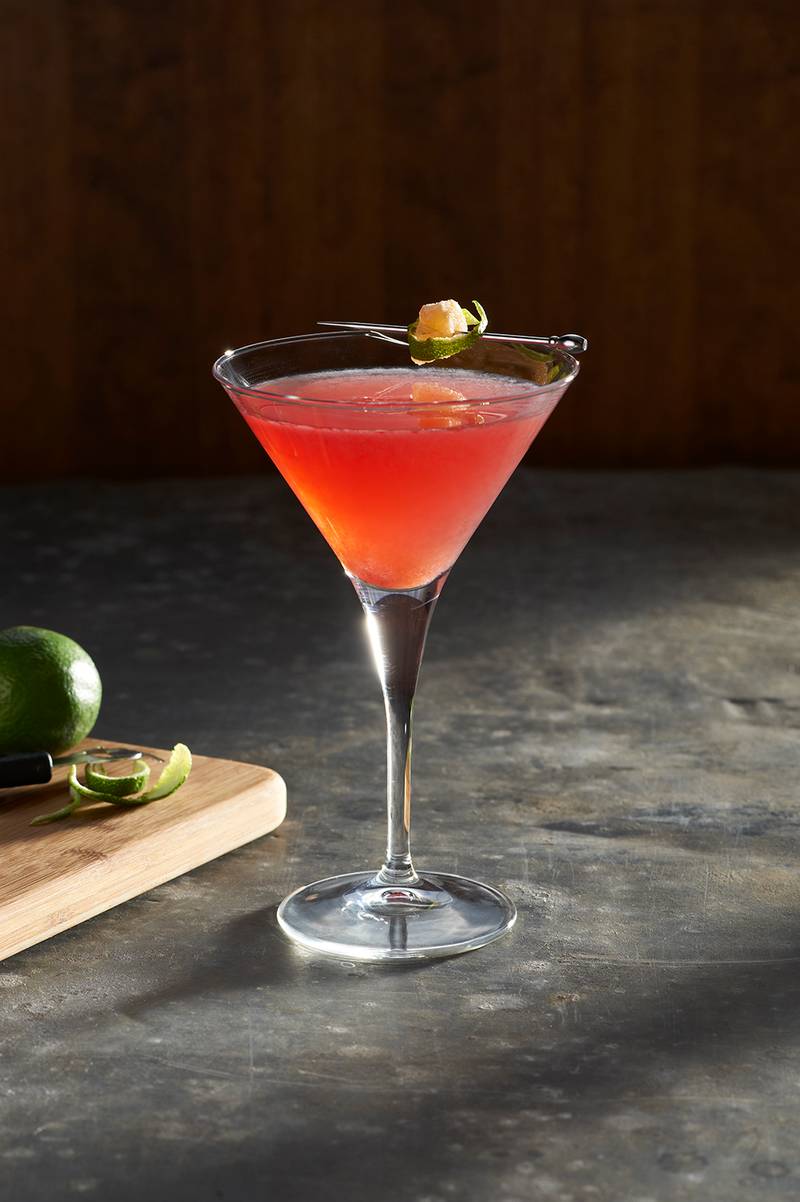 hxr-Martini_SSexy_AnnekeJans copy.jpg