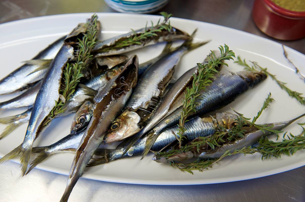 rbp-091020-RFS3476_MCB_Caiolassardines13729 copy.jpg