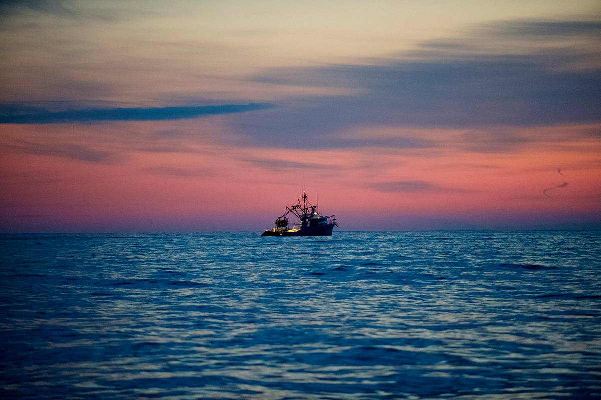 rni-110128_3553_MEShirmp19569 copy.jpg