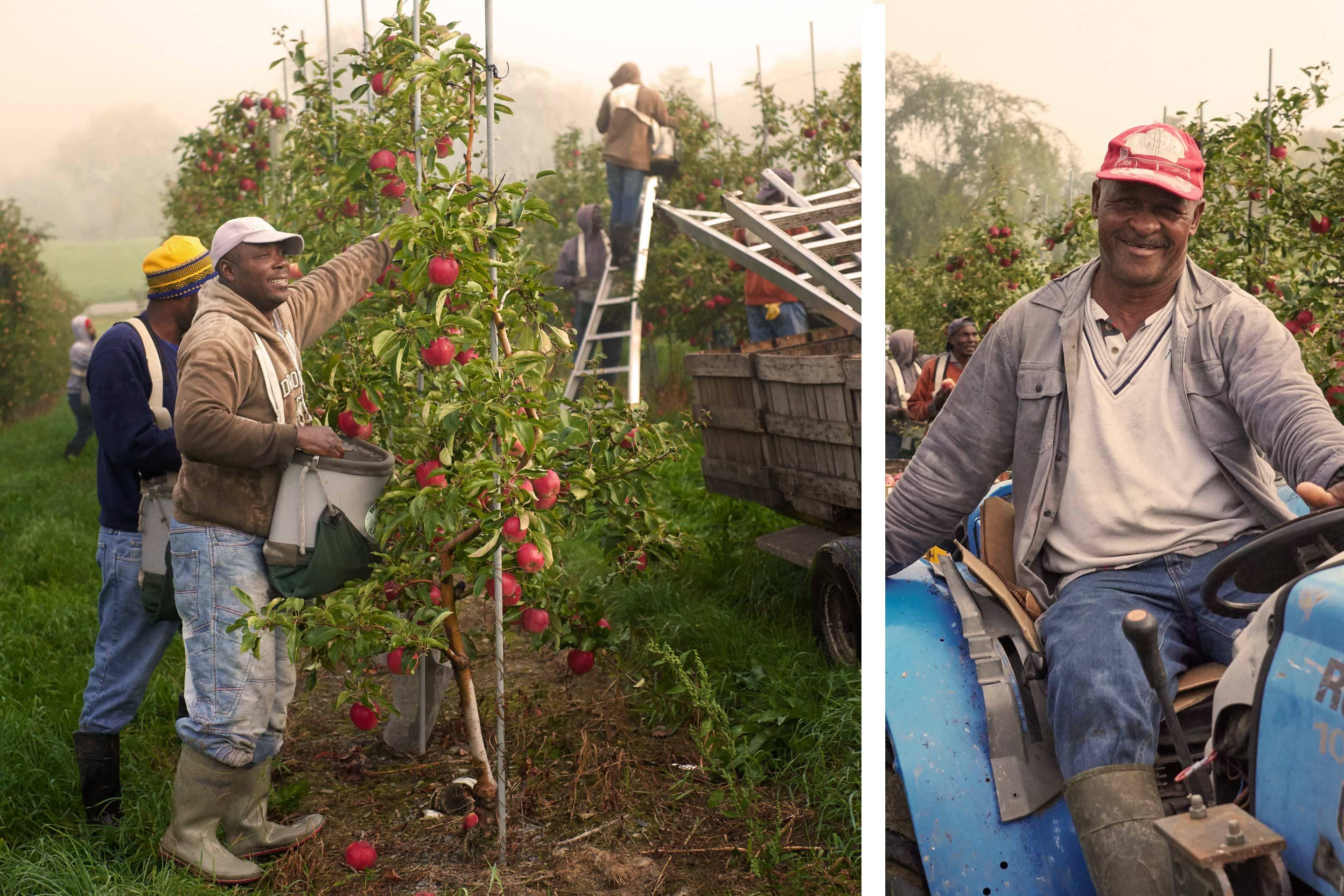 Champlain-Orchard-Workers.jpg