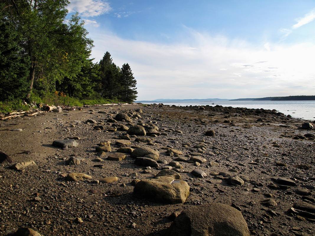 ts4-NorthernMaine_PenobscotRiver Tuneup copy.jpg