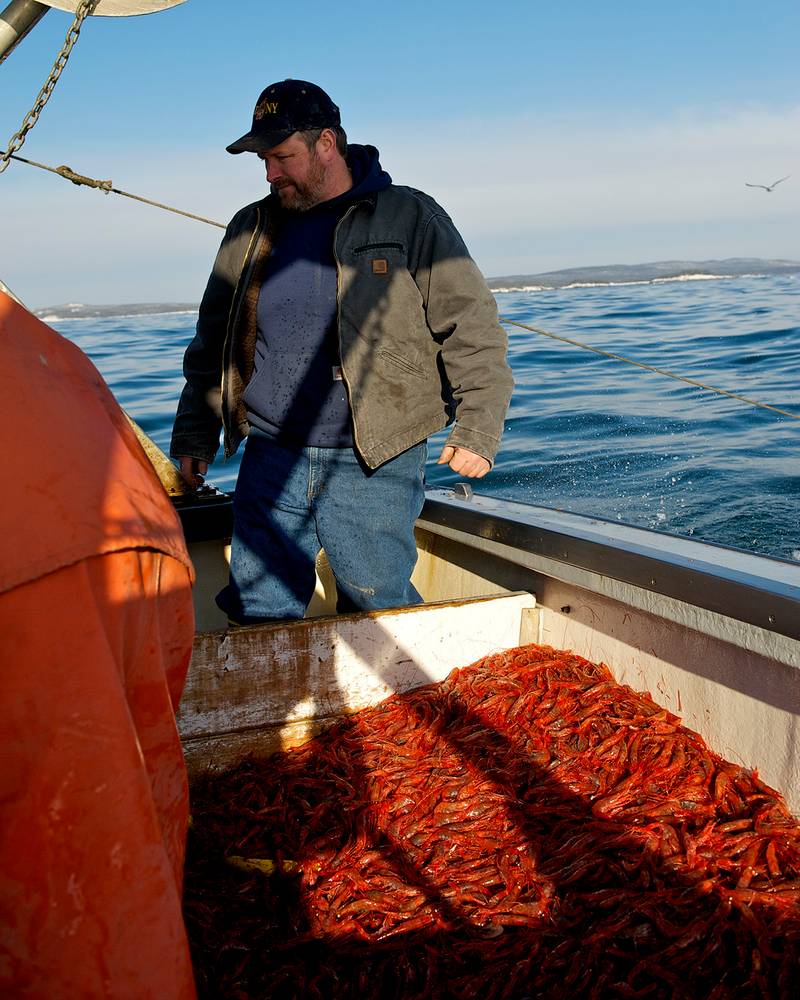 xme-110128_3553_MEShirmp20108 copy.jpg