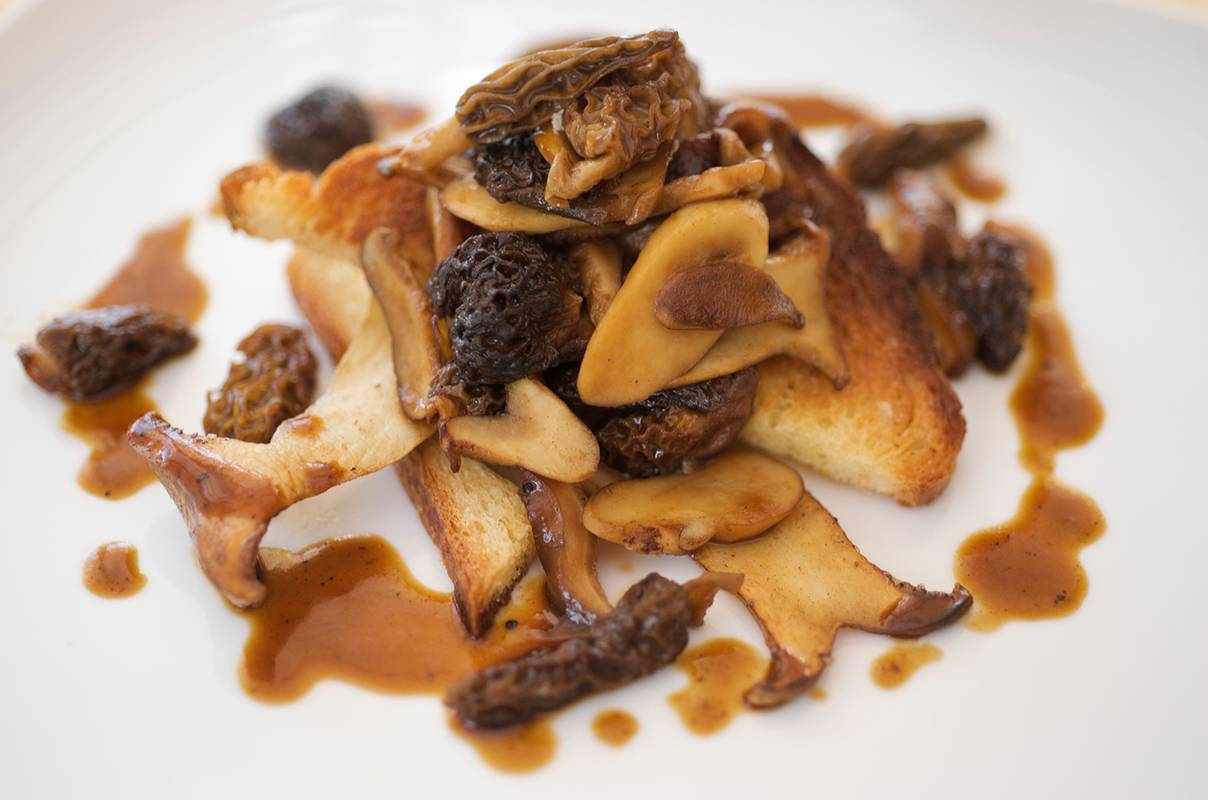 f6d-091020-RFS3476-MCBook_SoloBistro11945 copy.jpg