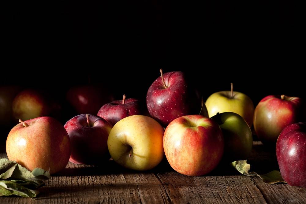 Fall Apple Harvest