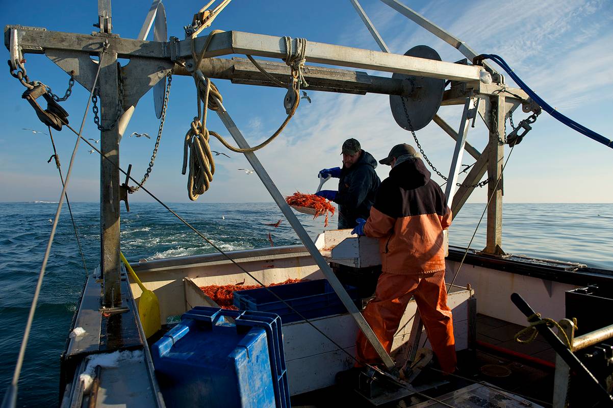 nui-110128_3553_MEShirmp20123 copy.jpg