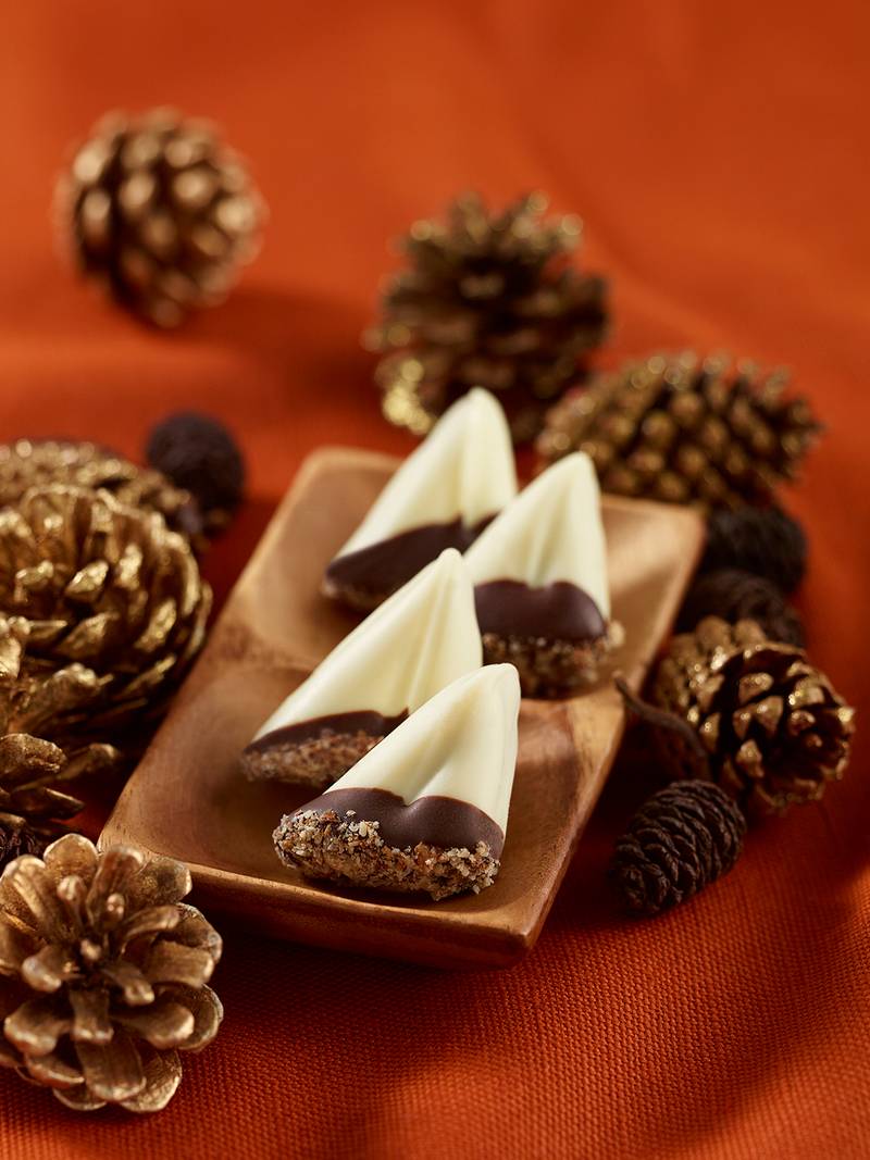 6iq-CoverFall2015 -V2_56899 copy.jpg