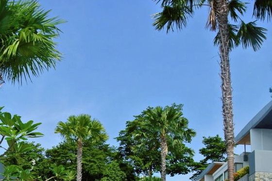 1r405867_400797219985545_165162045_n_2