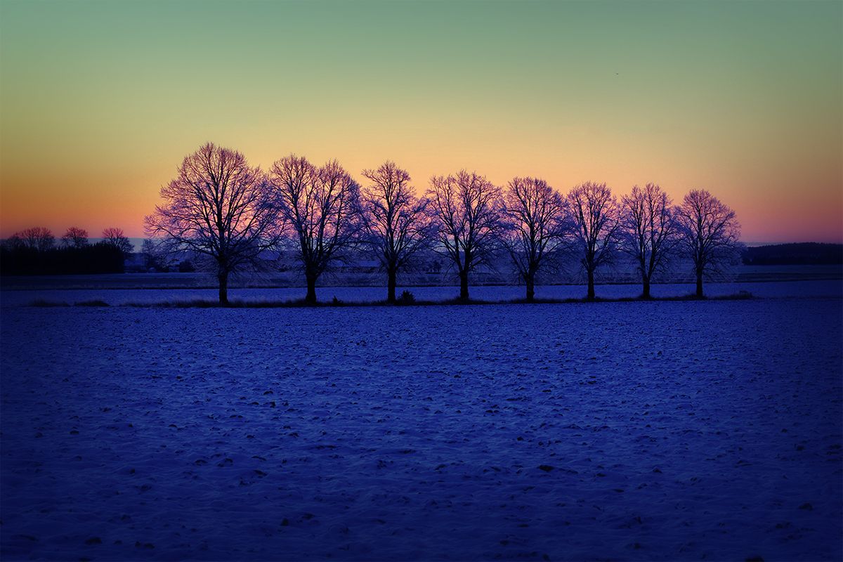 2GTQbgiNxerRr5gcT6hkjr8dsnb6NBTxXMi2obS (8).jpeg