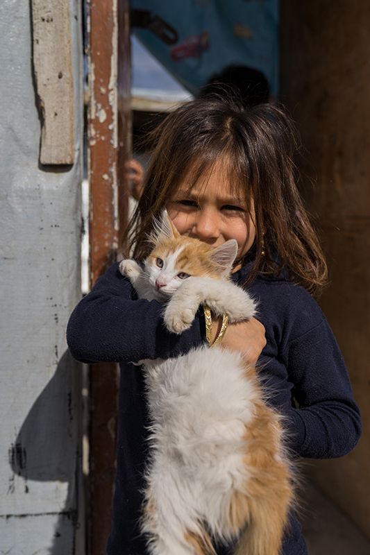 Syrian girl with her cat
