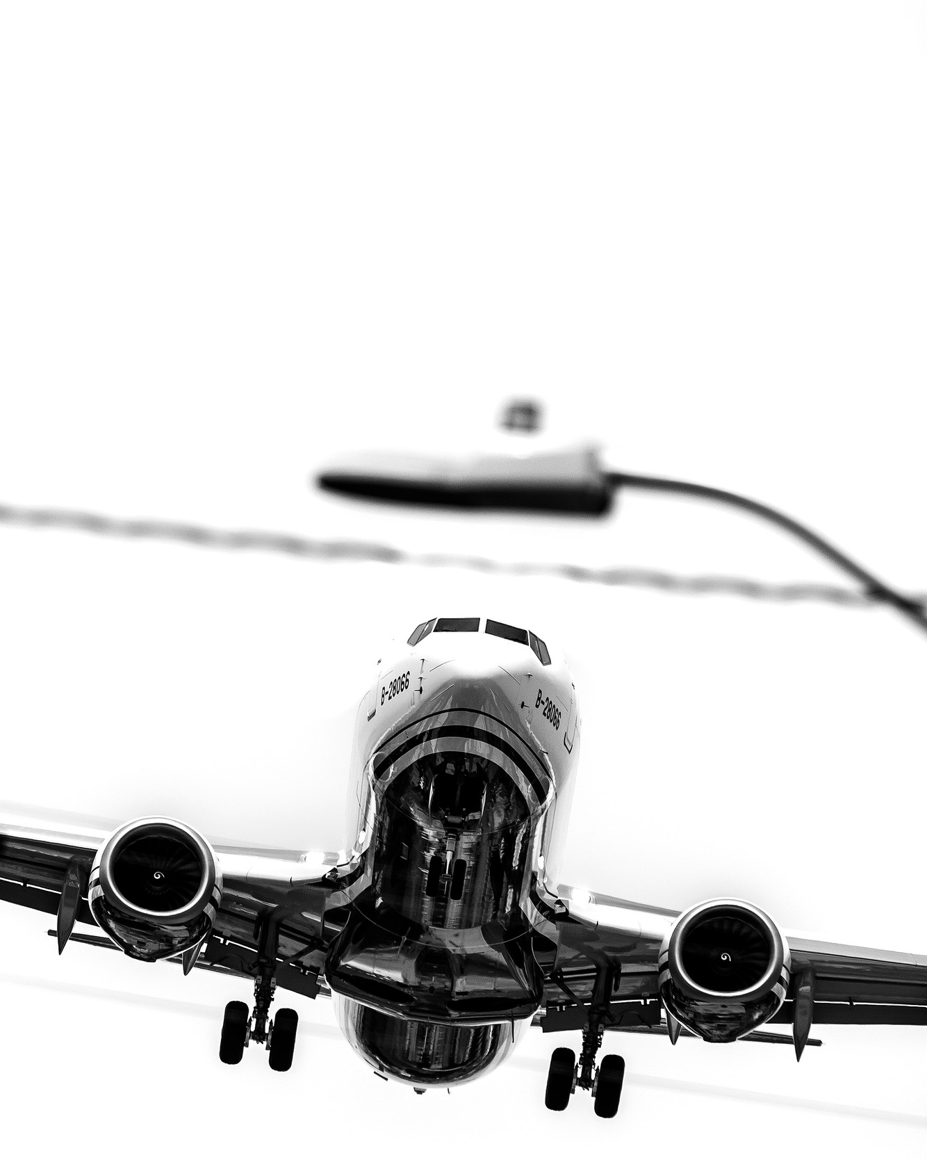 DSC_5534.jpg