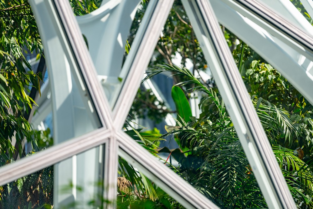 amazon.spheres_00309 copy.jpg