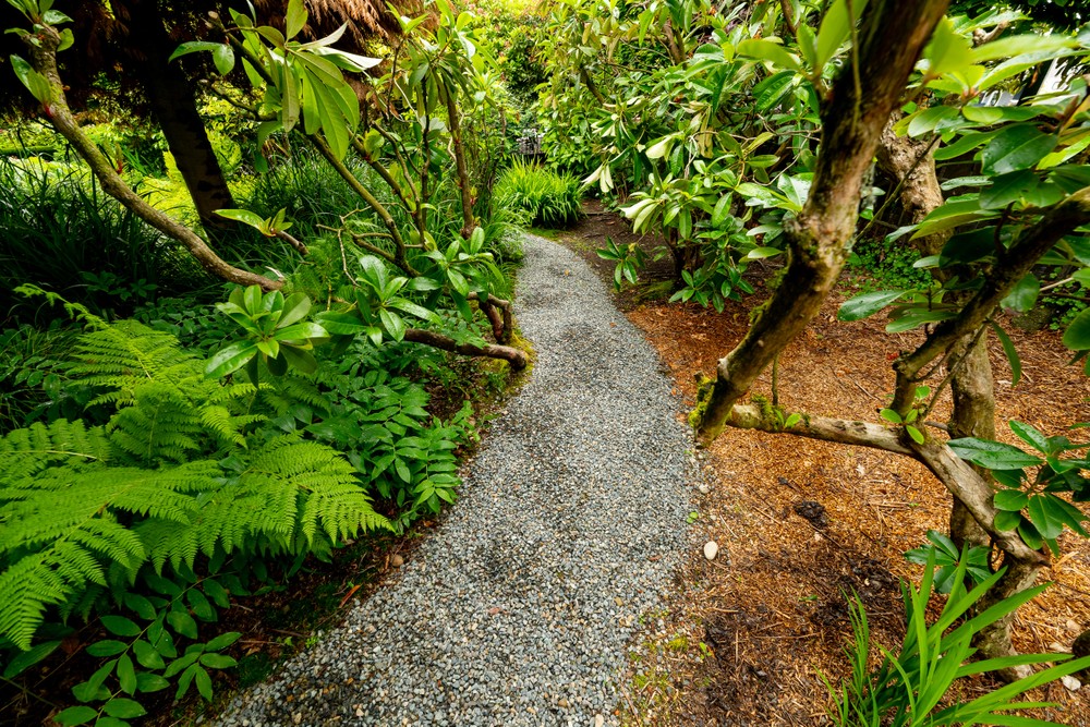 garden.front_383.jpg