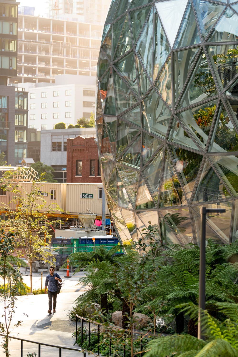 amazon.spheres_00120 copy.jpg