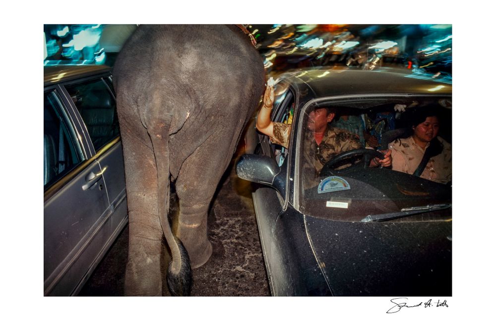 Lightroom (elephant.BKK_01.tif) copy.jpg