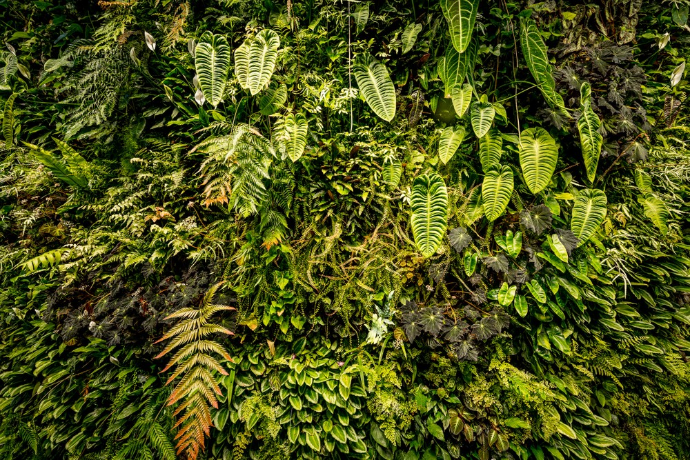 SPHERES.Amazon_0018.jpg