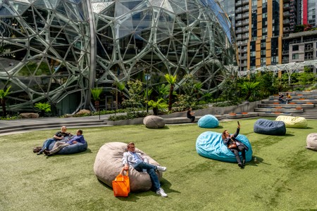 amazon.block19_0100 copy.jpg