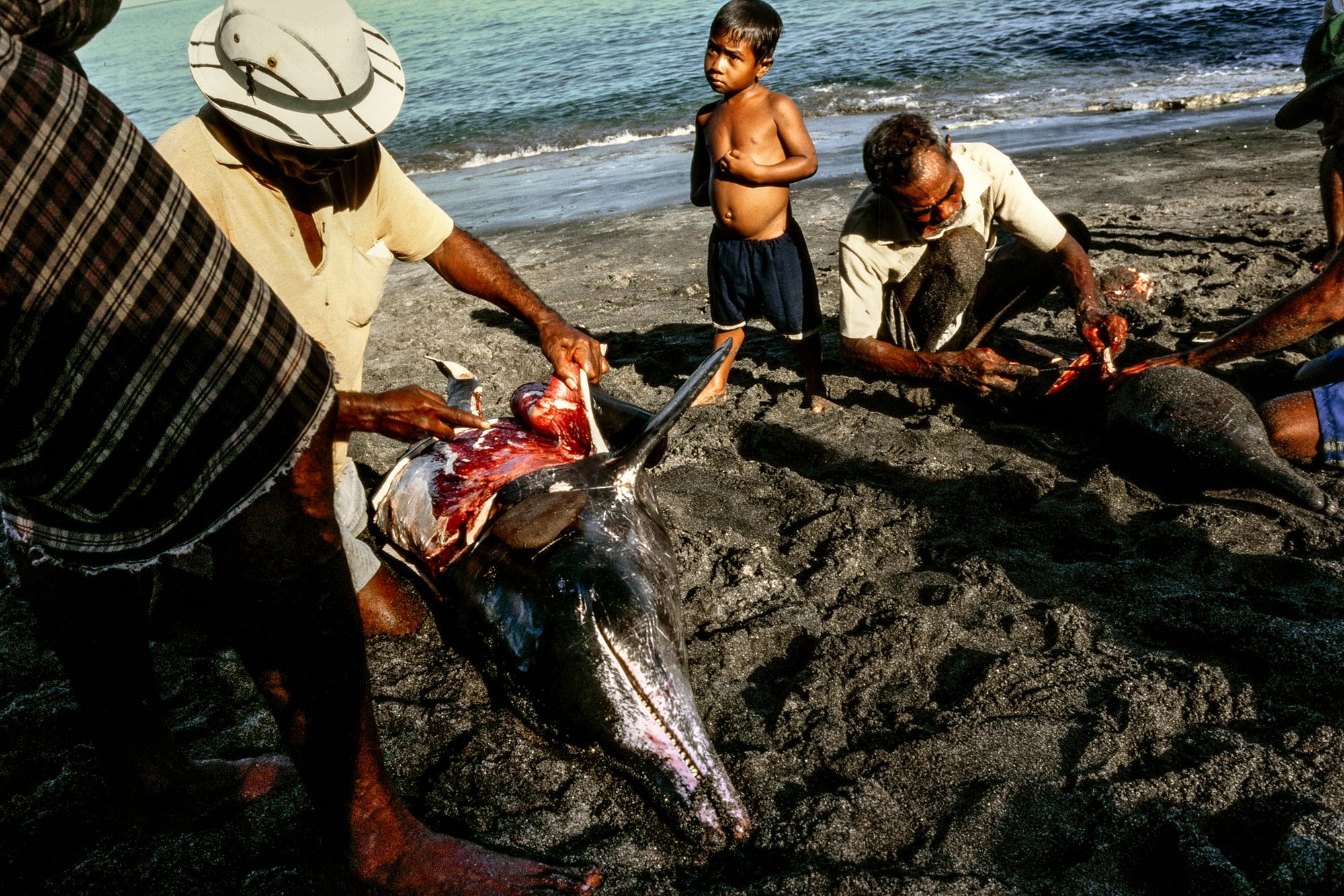 whaling.indonesia021.jpg