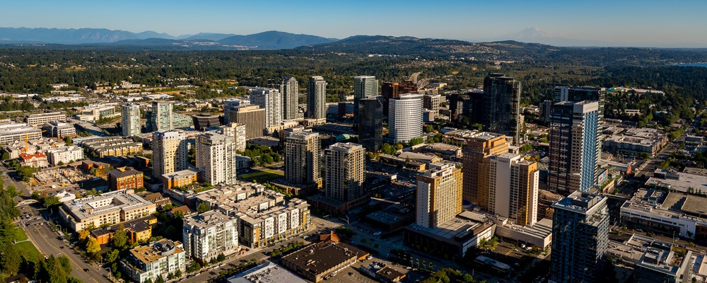 bellevue.aerial_01 copy.jpg