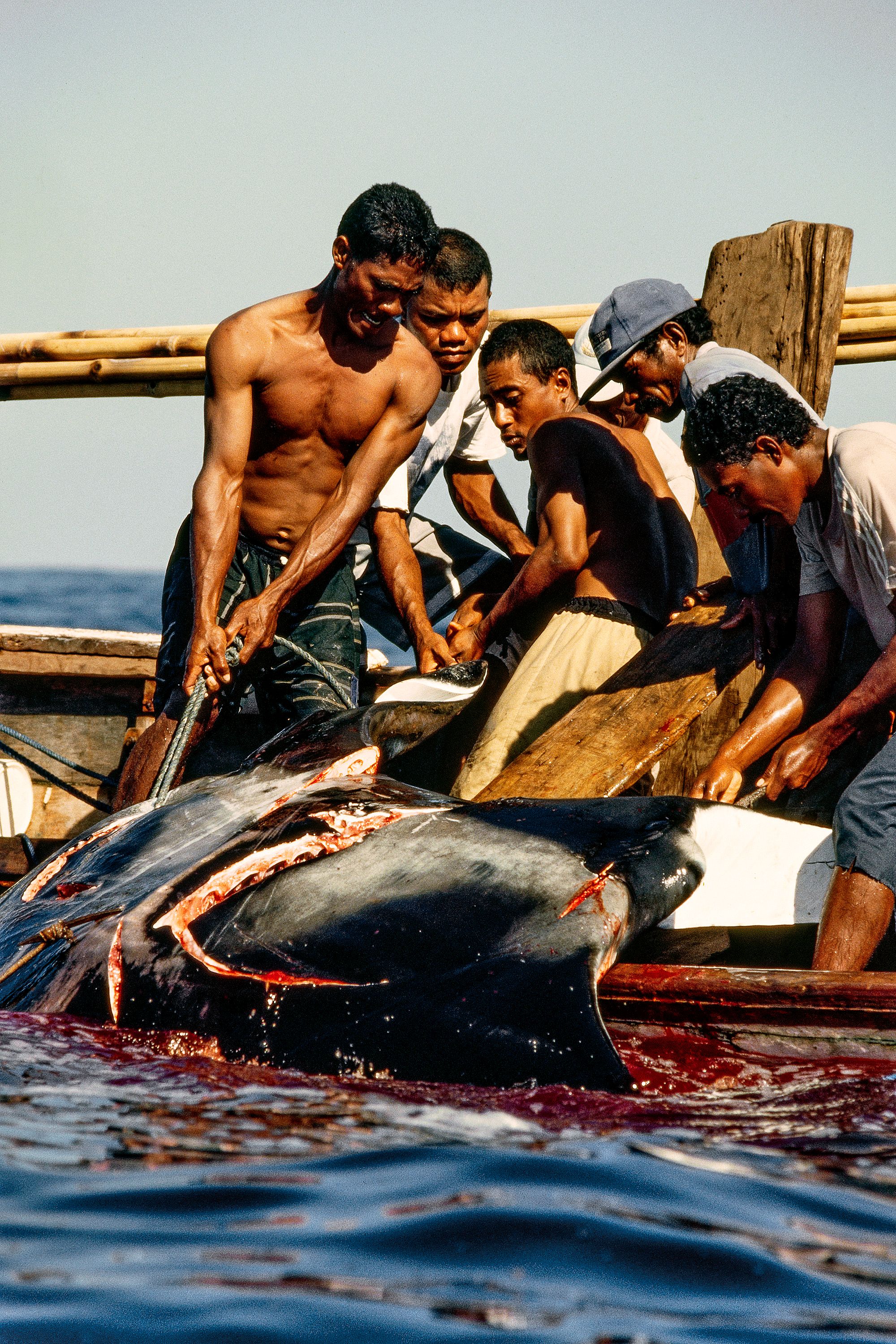whaling.indonesia005.jpg