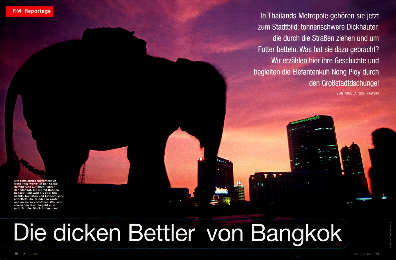 PM.MAGAZINE.ELEPHANTS.jpg