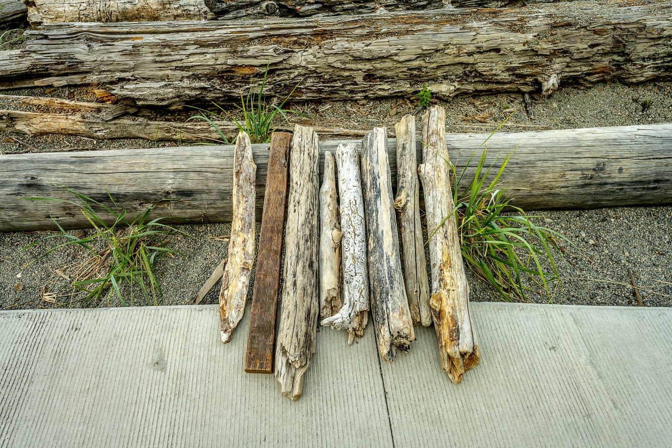 owen.beach_0337.jpg