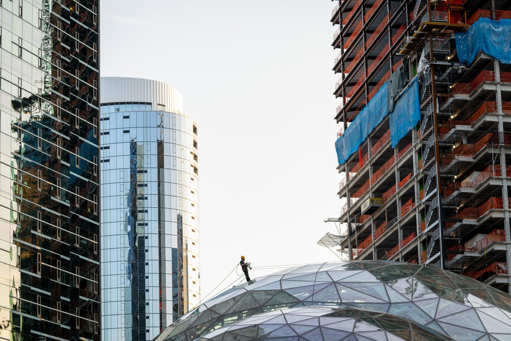 amazon.spheres_00315 copy.jpg