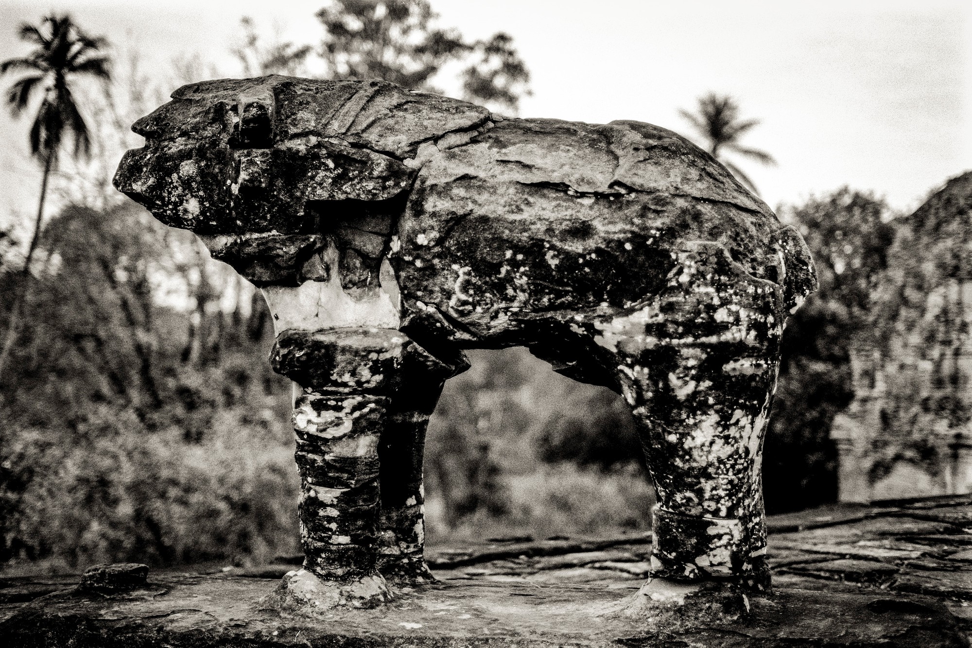 ANGKOR.F1.4_0654-Edit.jpg