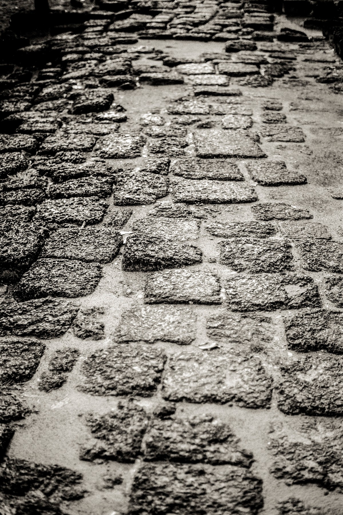ANGKOR.F1.4_0655-Edit.jpg