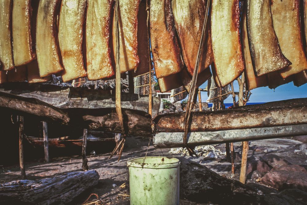 whaling.indonesia_34.jpg