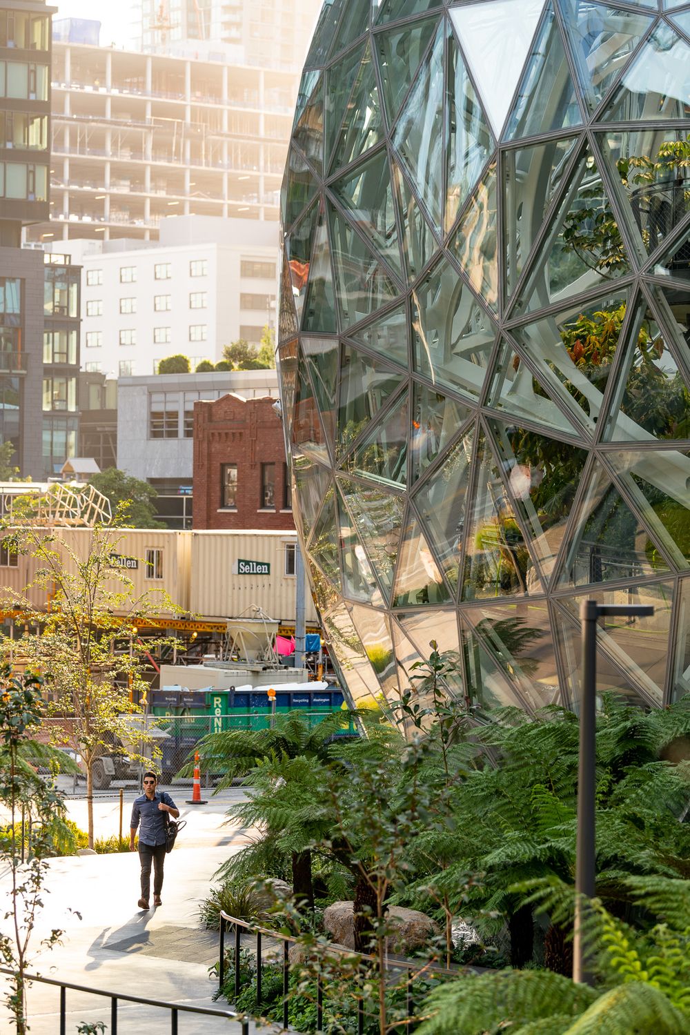 amazon.spheres_00120 copy.jpg