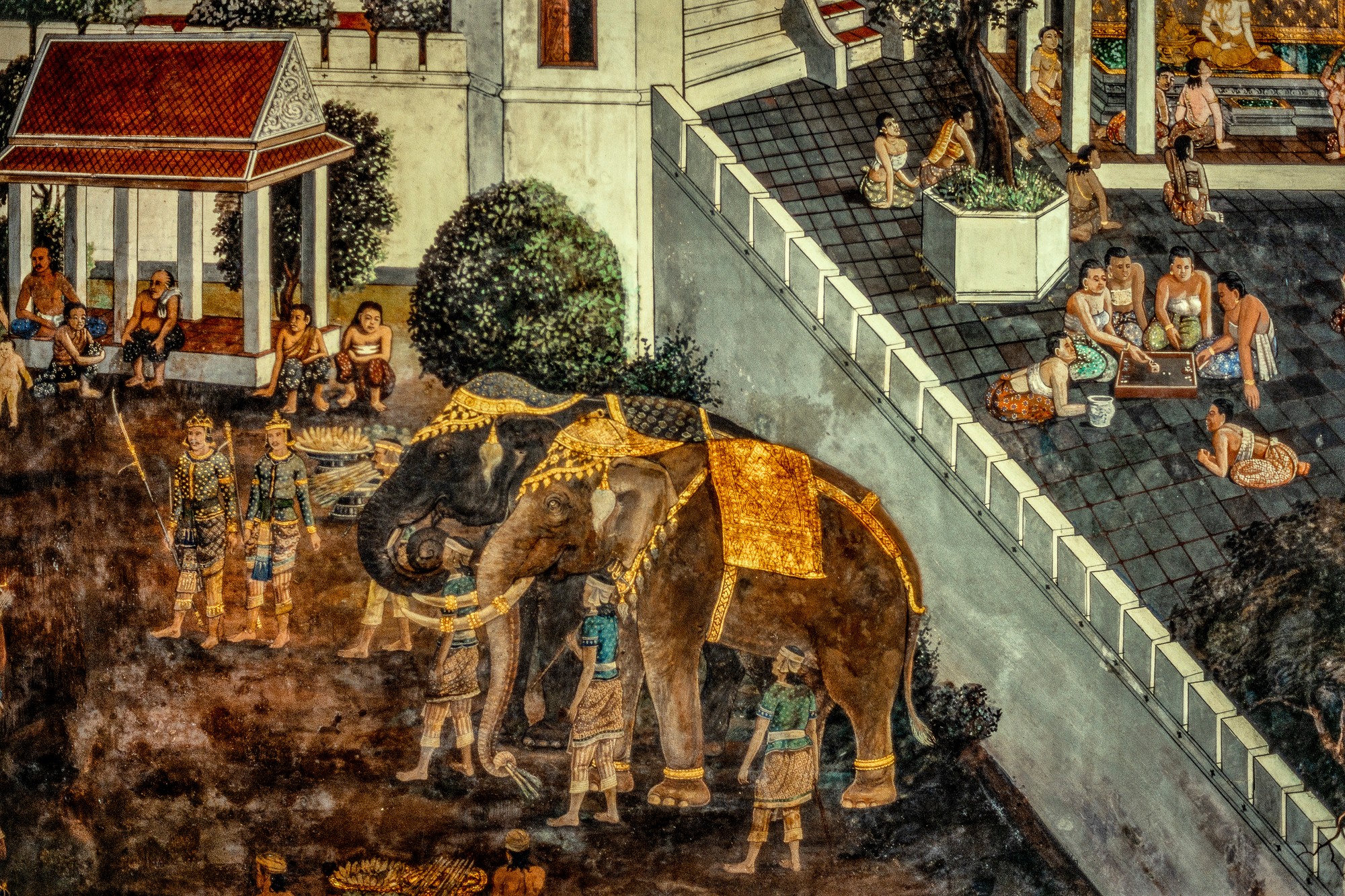 ELEPHANT.thailand_040.jpg
