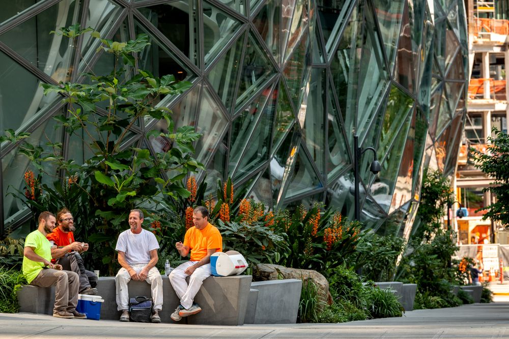 amazon.spheres_00037 copy.jpg