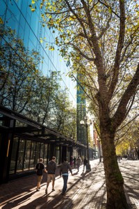 weyerhaeuser.seattle_024.jpg