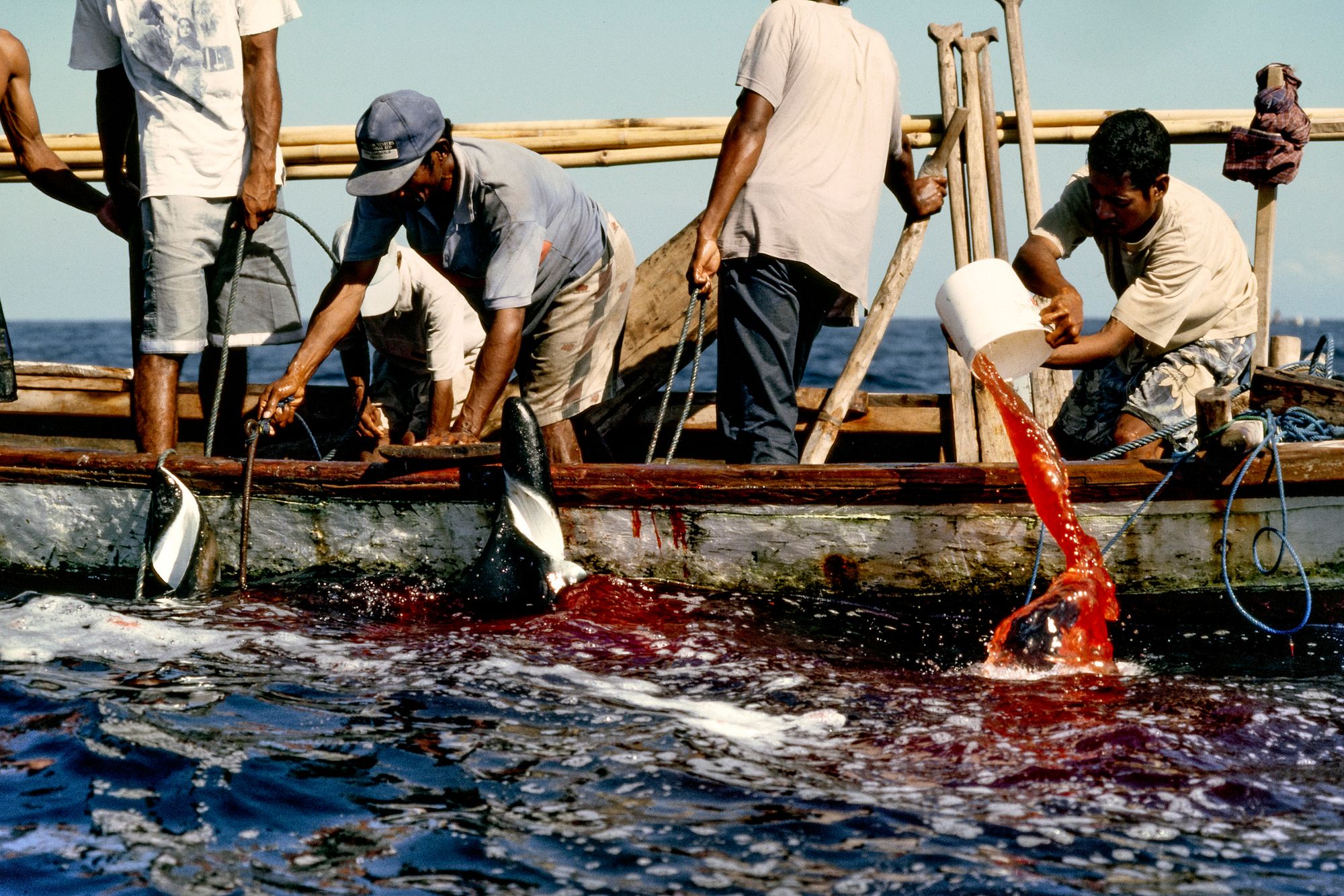 whaling.indonesia016.jpg