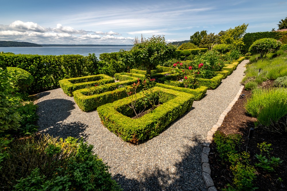 garden.back_335.jpg