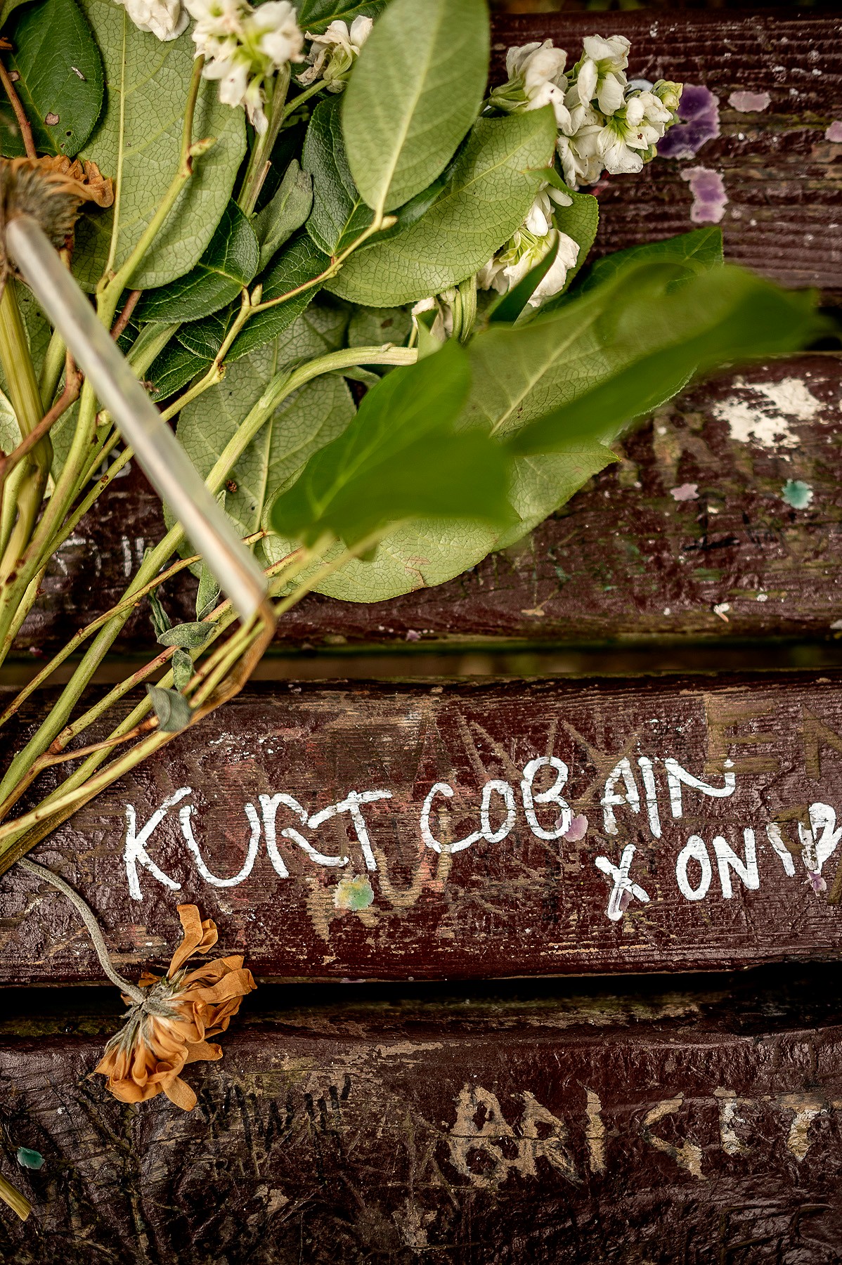 cobain.tourism_01.jpg