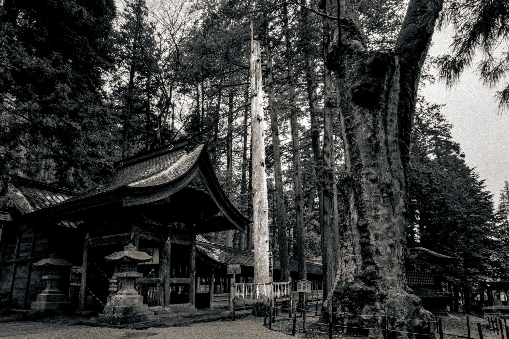 ONBASHIRA.JAPAN_033.jpg