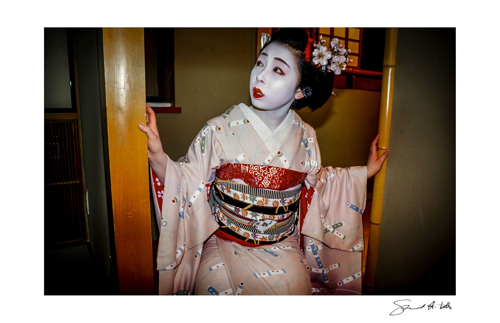 Lightroom (geisha.kyoto_04.jpg) copy.jpg