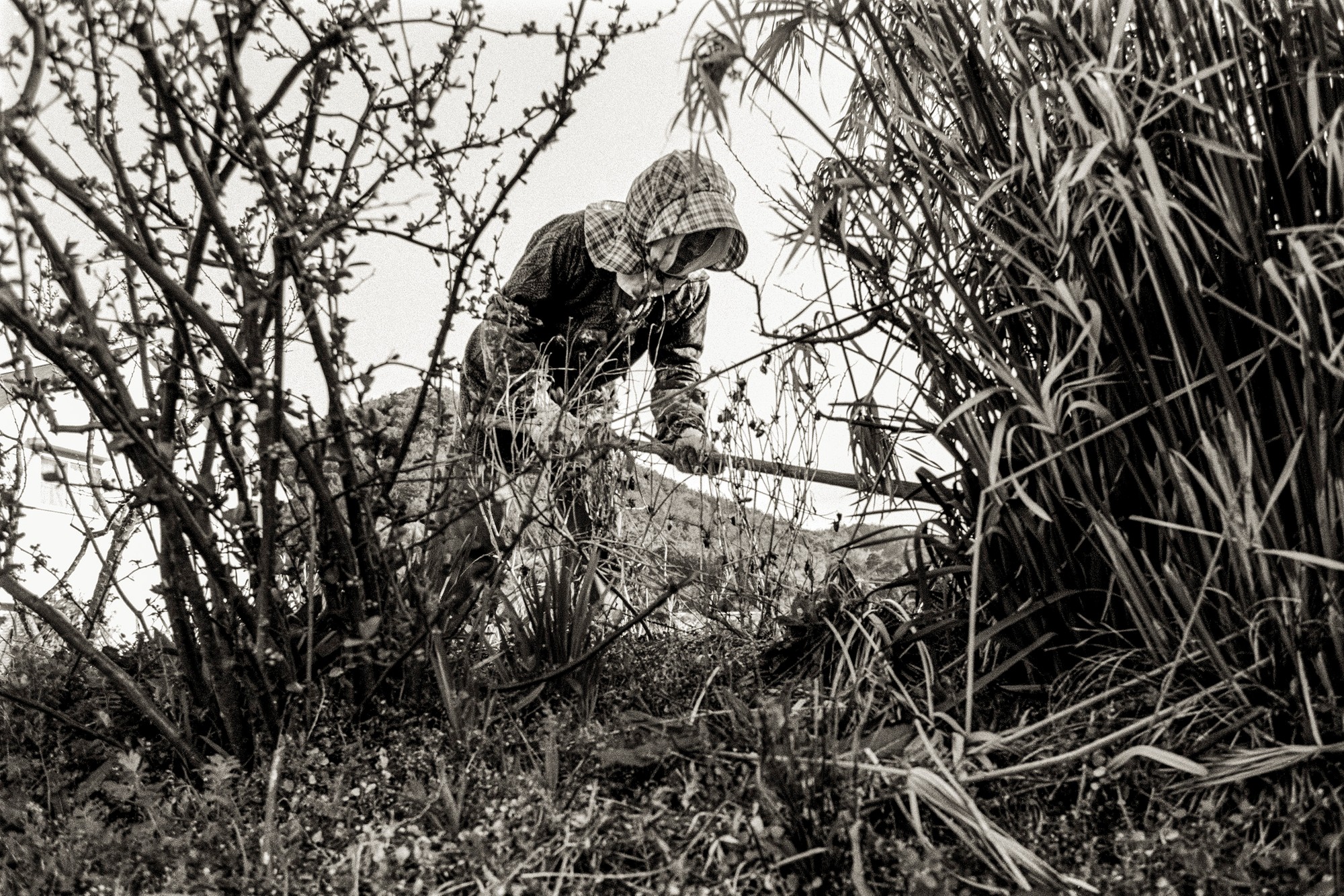 SUOH.OSHIMA.Japan_010.jpg