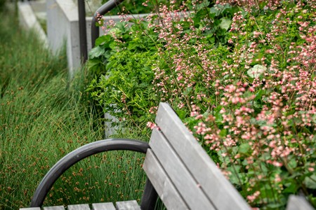 AMZ.2021_1049.jpg
