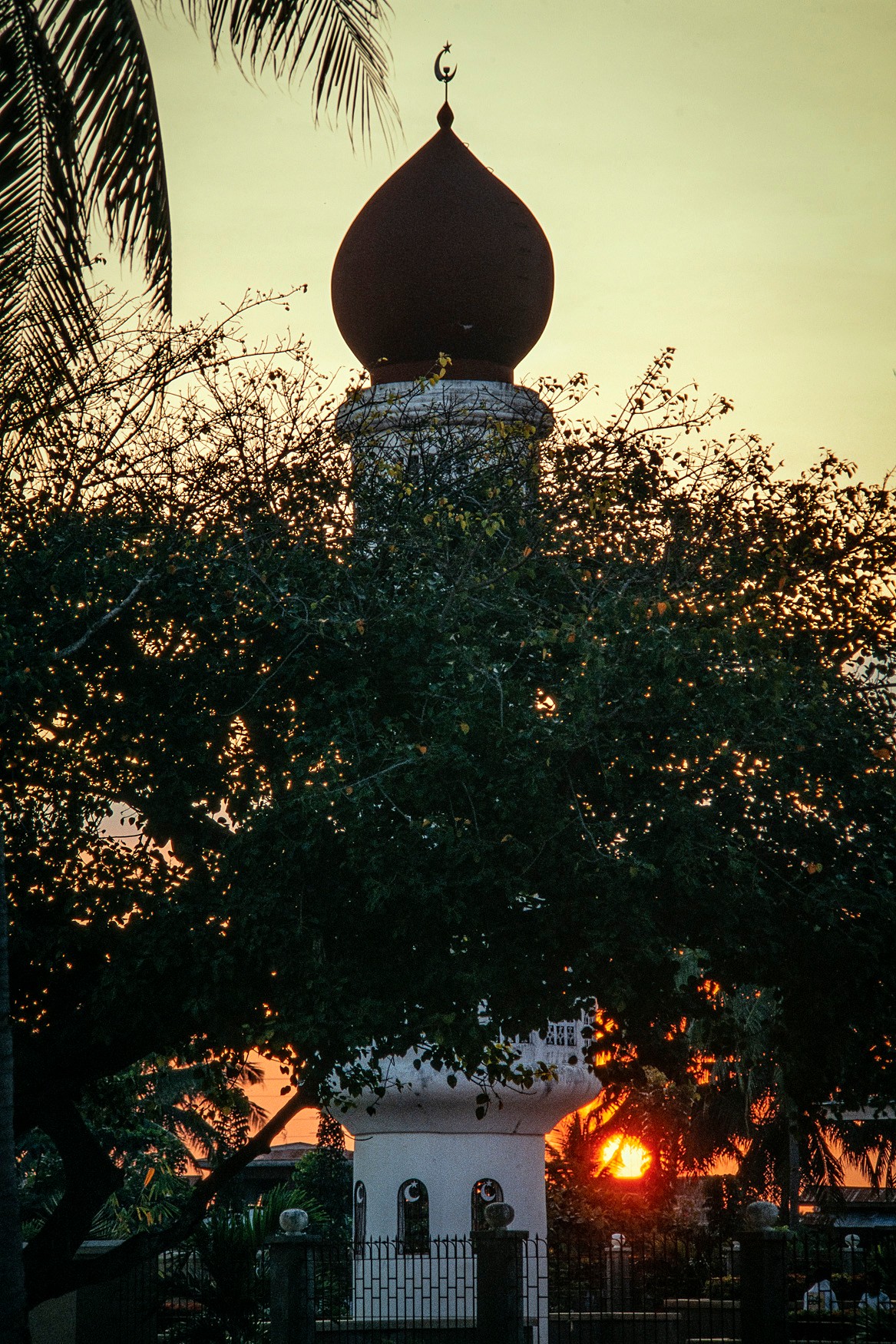 DSC_1292-HDR-2.jpg