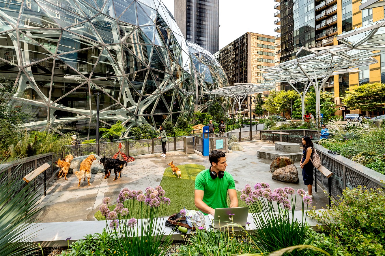 amazon.spheres_00231-2.jpg