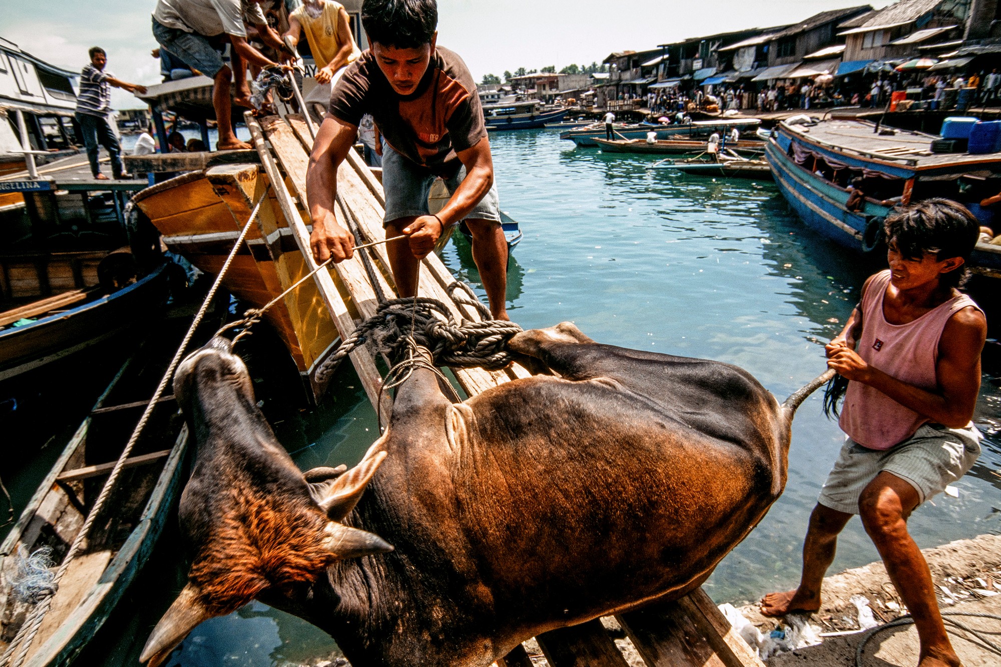 waterworld_022-2.jpg