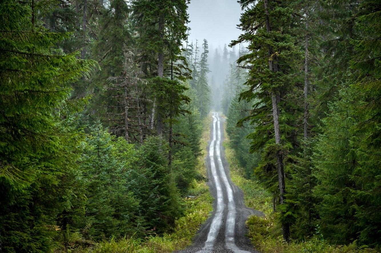 backcountry.alaska_08 copy.jpg