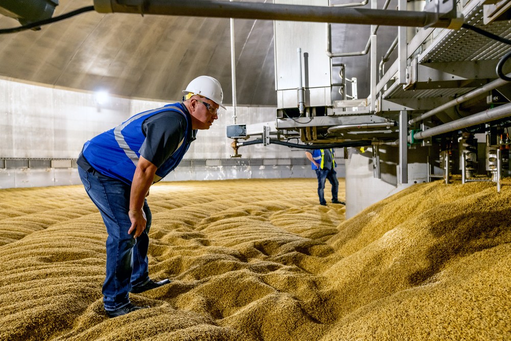 BUHLER.MALT.germ_261.jpg